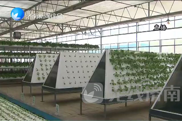 我市加快推進農業新舊動能轉換
