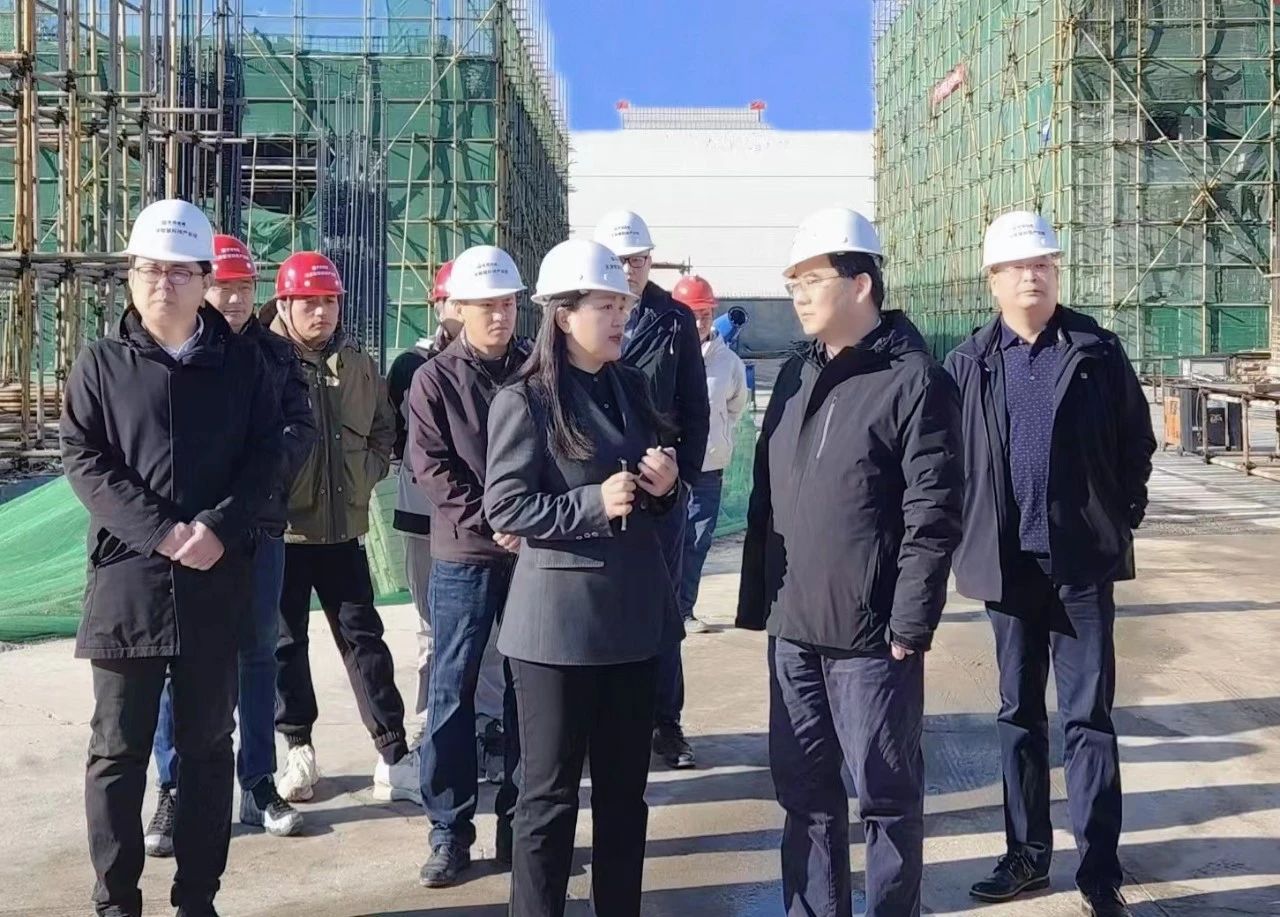 天津市東麗區委副書記李春一行蒞臨幸福連城·天津智慧科技產業園檢查指導工作